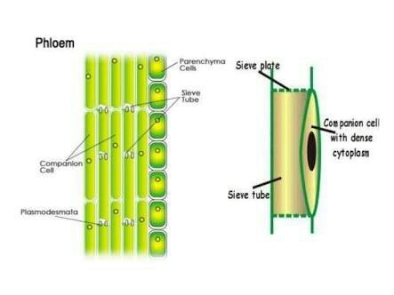 bac009fcb6f6b7b7215e35b3cabb3d47.jpg