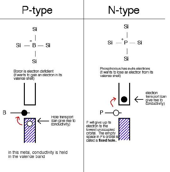 ptype-ntype.jpeg