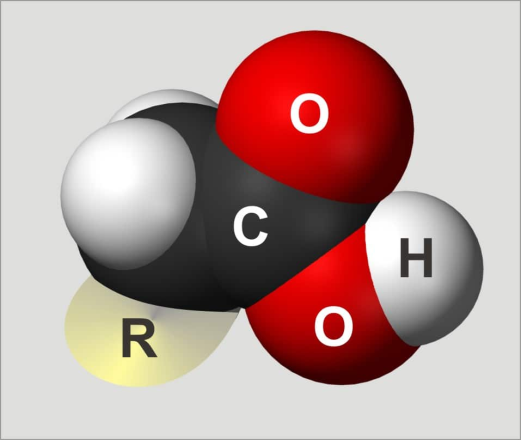 Image result for uses of carboxylic acid