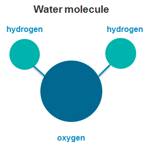 water molecule