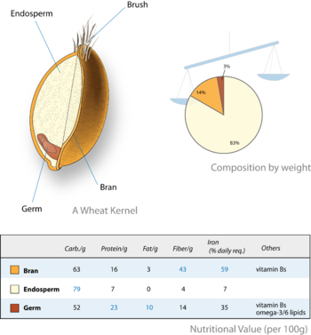 Wheat-kernel nutrition.png